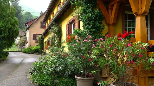 Beautiful colorful garden with flowers over the rain, slow motion view of water drops falling