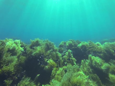 Swimming underwater