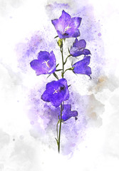 Digital painting of blue or purple bell flowers