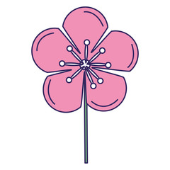 cute flower decorative icon vector illustration design