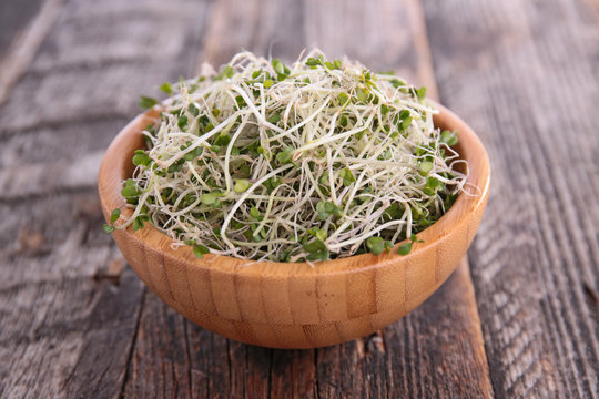 broccoli sprout