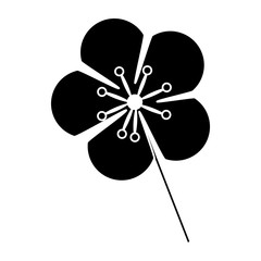 Fototapeta premium cute flower decorative icon vector illustration design