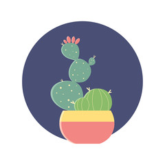 Cactus plant pot garden, modern natural home miniature green corner decoration. Flat vector illustration.