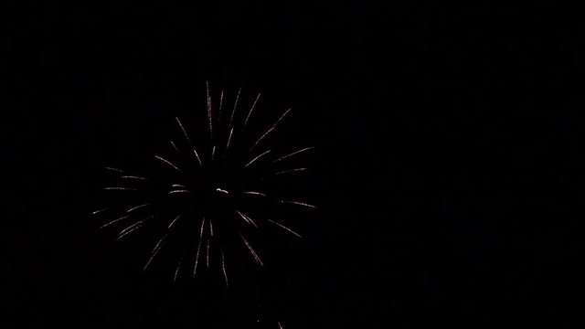 Long Exposure of Multicolored Fireworks Against a Black Sky - Bastille Day