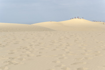 Dune
