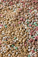 Dry pet food background.