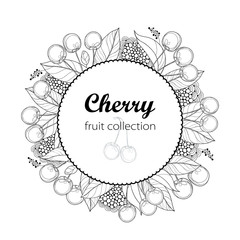 Vector round composition with outline ripe Cherry, bunch, berry and leaves isolated on white background. Floral element with cherry fruit in contour style for summer design and coloring book.