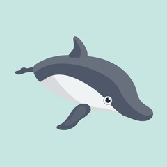 Obraz premium Vector illustration of a funny dolphin.