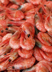 Fresh boiled pink small shrimps close up