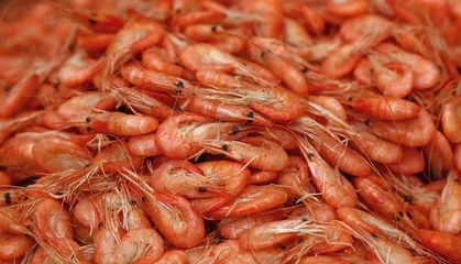 Poster Fresh boiled pink small shrimps close up © breakingthewalls