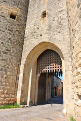 Fototapeta na wymiar fortification door of Aigues Mortes