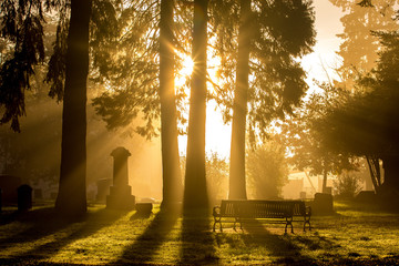 Cemetery at Sunrise