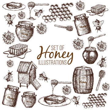 Hand drawn ink sketch illustration, set of honey, organic nature products. Vector