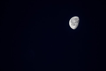 Moon