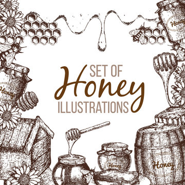 Hand drawn ink sketch illustration, set of honey, organic nature products. Vector