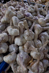 Garlic for sale at a farmers market in Arles in the south of France