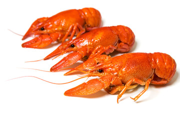 Hot boiled crayfishes isolated on white background