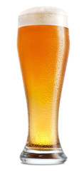 glass of beer isolated on white background