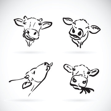 Vector of cow head on white background. Farm Animal. Easy editable layered vector illustration.