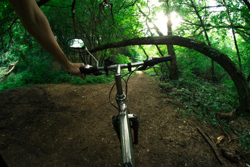 Naklejka na ściany i meble A cyclist rides a bicycle along forest trails.