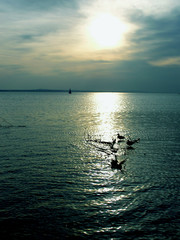 Fototapeta premium Am Wasser