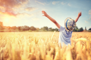 Boy with raised arms in wheat field in summer watching sunset - obrazy, fototapety, plakaty