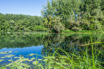les bord de la saône