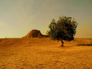 paesaggio desertico con albero e monte roccioso al tramonto