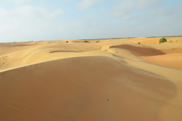 Les dunes du désert