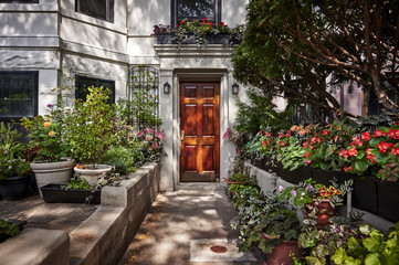 Fototapeta na wymiar an ornate door to a townhouse