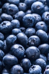 Blueberry.