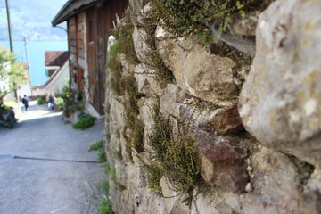 steinmauer in quinten