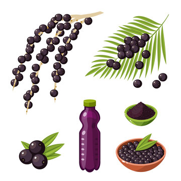 Set of colorful cartoon acai berry superfood products: branch with berries, bottle of juice, powder. Vector illustration flat icon, isolated on white.