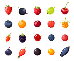 Set single berries: cherry, rosehip, strawberry, acai, raspberry, juniper, cranberry, cloudberry, blueberry, goji, acerola, blackberry, currant, honeysuckle. Vector collection of flat icon, isolated.