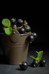 Black currant  isolated