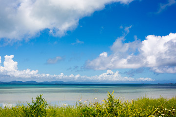 沖縄の海
