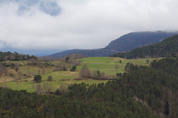 Fototapeta na wymiar Green landscape in the Pyrenees