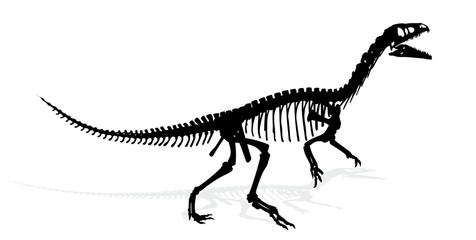 Dinosaur skeleton. 