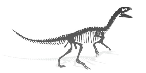 Dinosaur skeleton. 