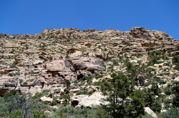 Fototapeta na wymiar Mountain in Red Rock Canyon, Nevada