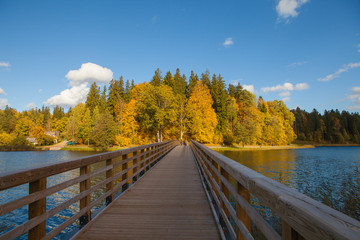 Naklejka premium Fall forest behind the lake. Wooden bridge though the lake. Autumn moment.