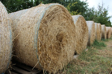 botte de foin en gros plan
