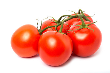 Tomato isolated on white