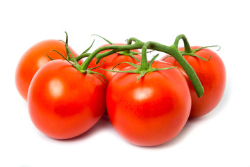 Tomato isolated on white