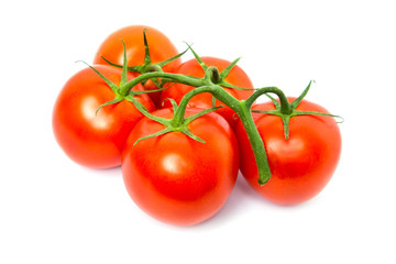 Tomato isolated on white