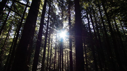 Wild Sky Wilderness, Washington State