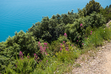 Küstenwanderweg Cinque Terre