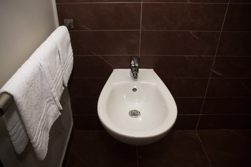 Bidet and towels in the bathroom