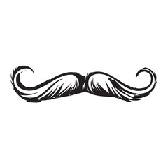 Human hipster curled up mustache, decoration element, black and white sketch style vector illustration isolated on white background. Realistic isolated hand drawing of human hipster style mustache