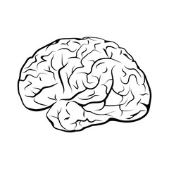 Black and white outline brain mark.